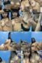 e826k9y2ihox_xt