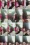 5c0e8alelnipo15r